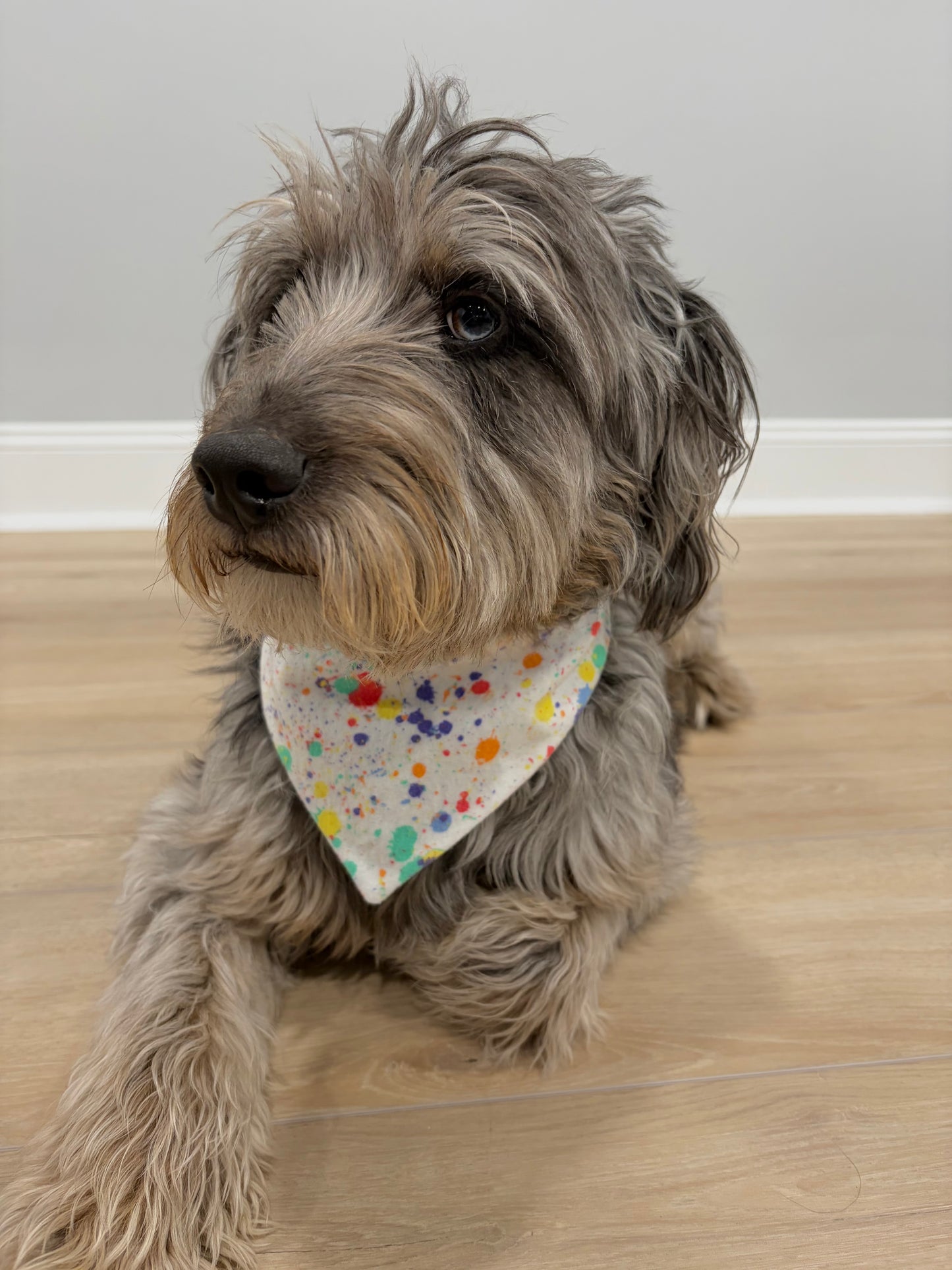 Reversible Pet Bandana