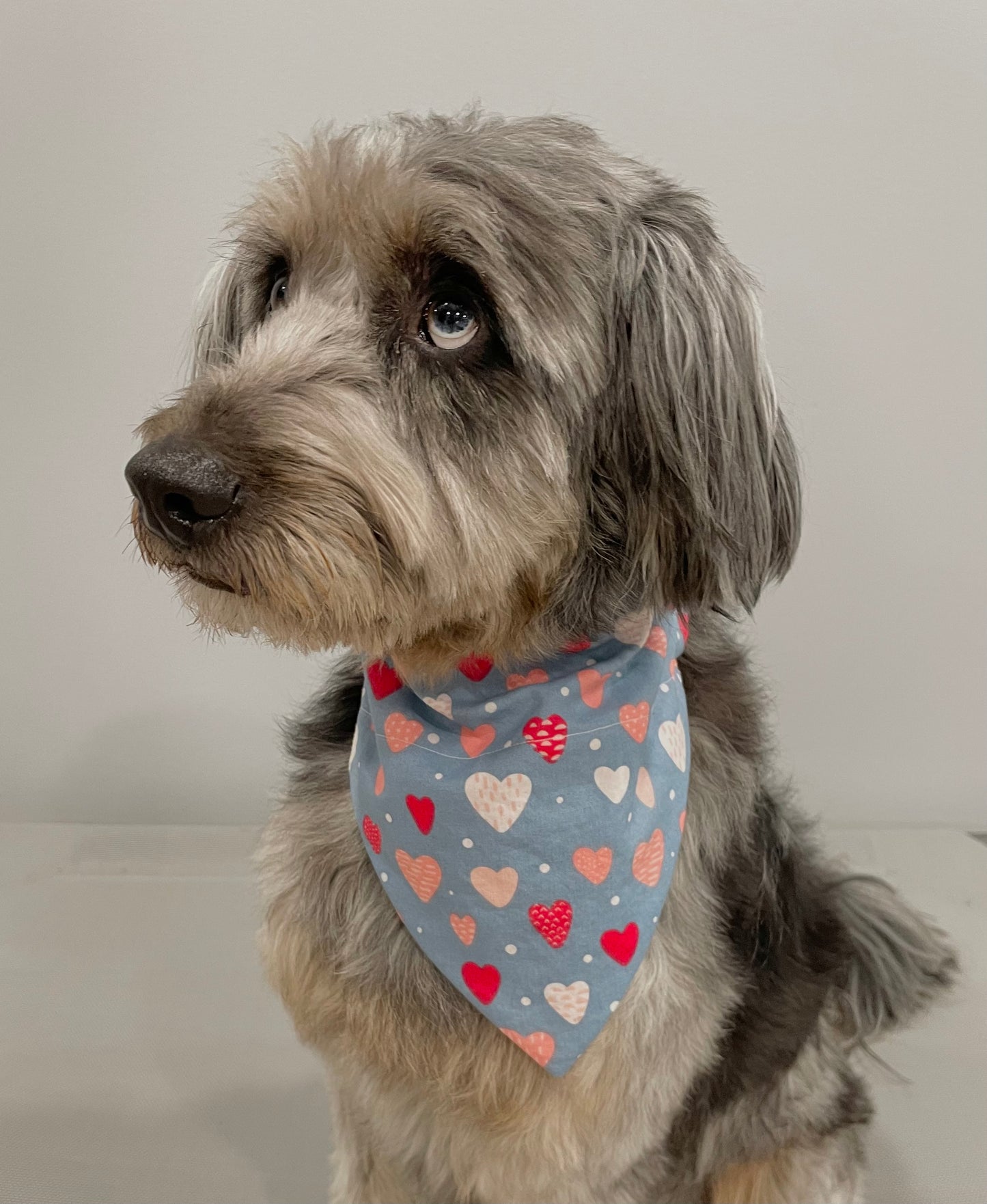 Reversible Pet Bandana