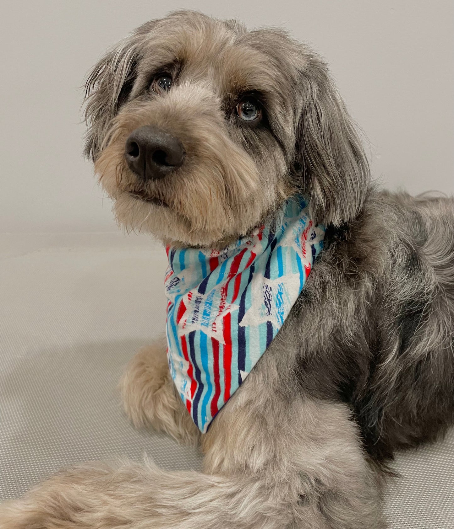 Reversible Pet Bandana