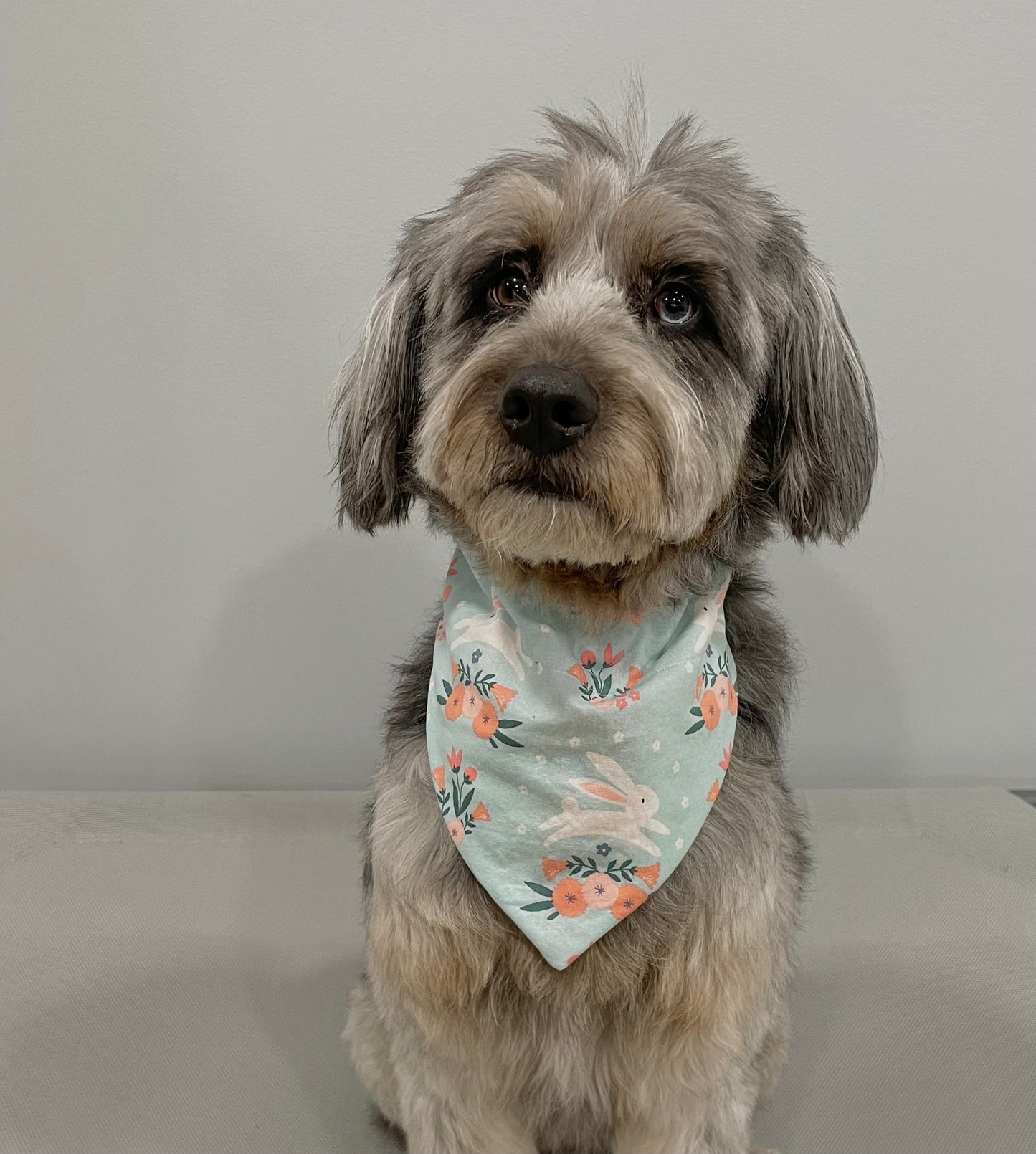 Reversible Pet Bandana