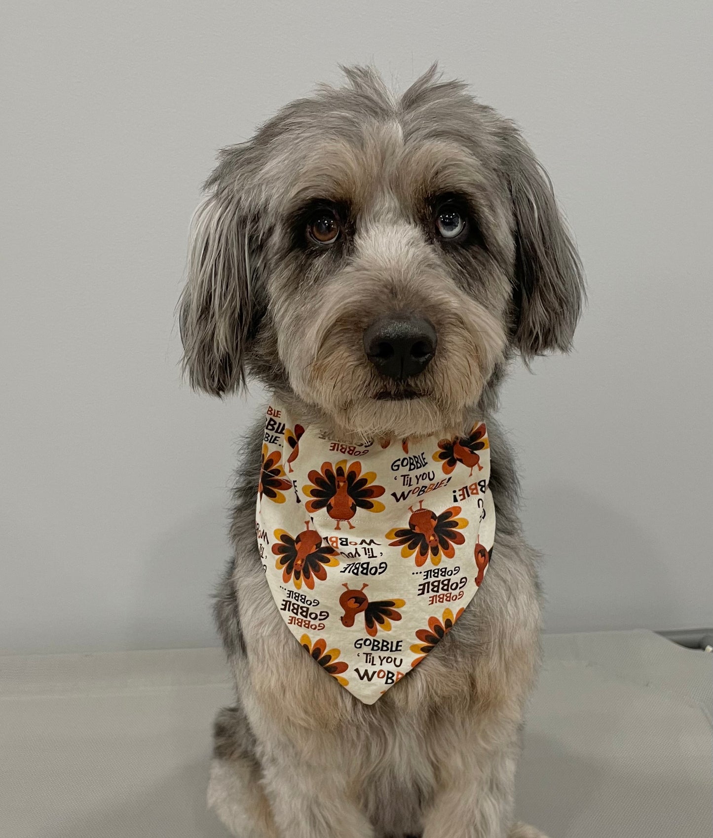 Reversible Pet Bandana