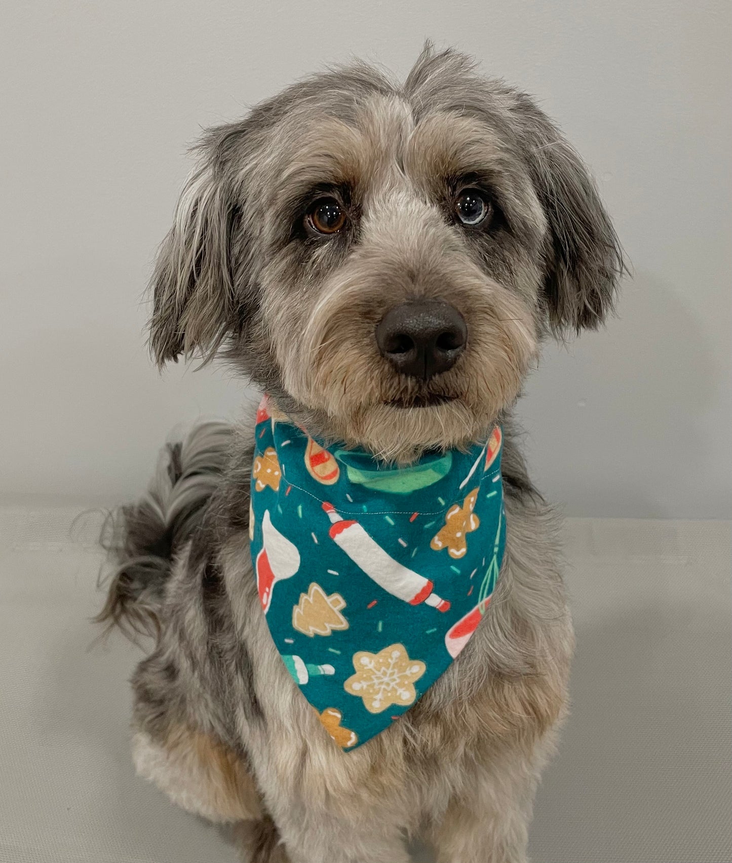 Reversible Pet Bandana