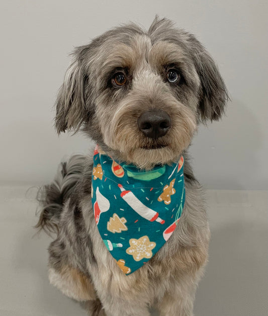 Reversible Pet Bandana