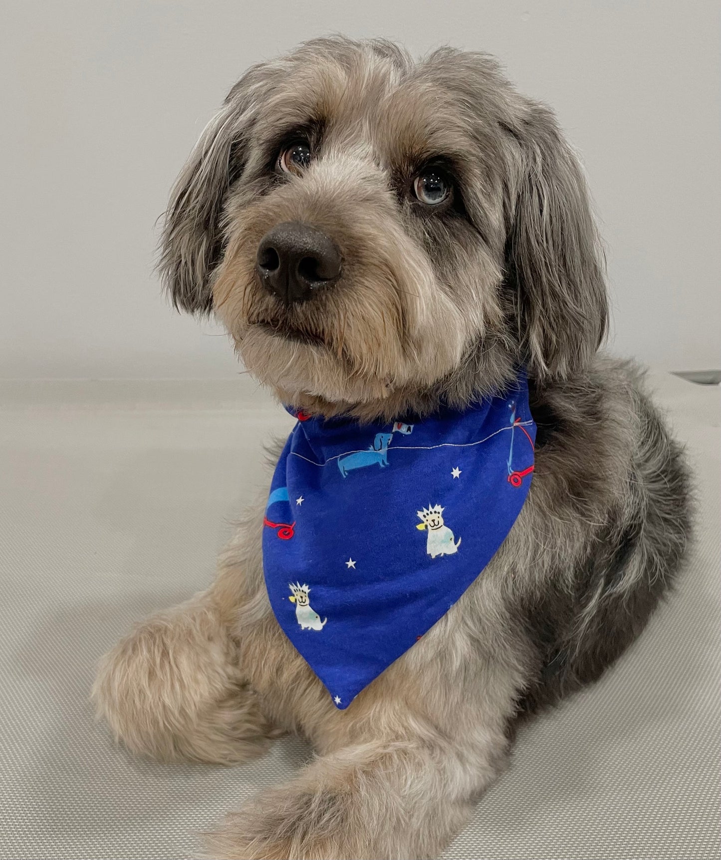 Reversible Pet Bandana