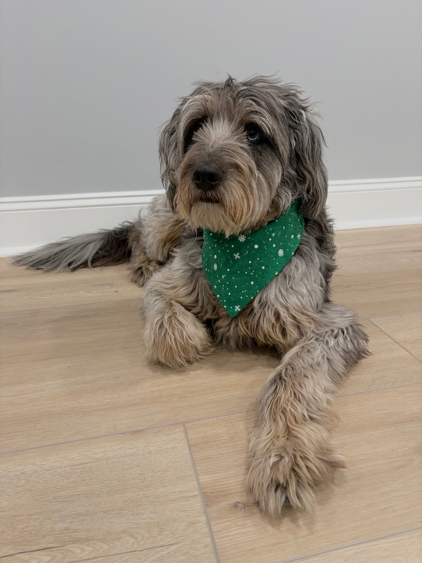 Reversible Pet Bandana