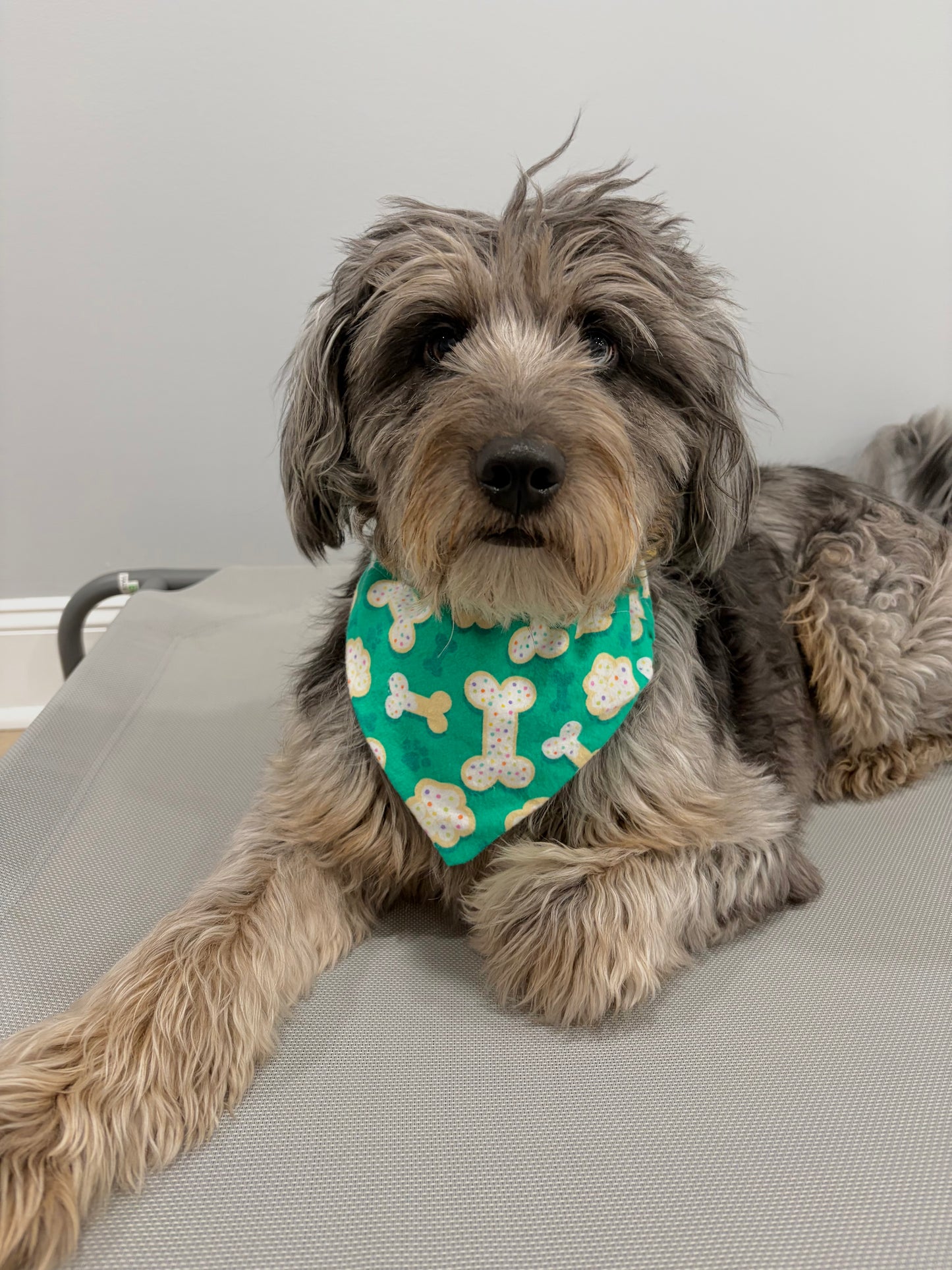 Reversible Pet Bandana