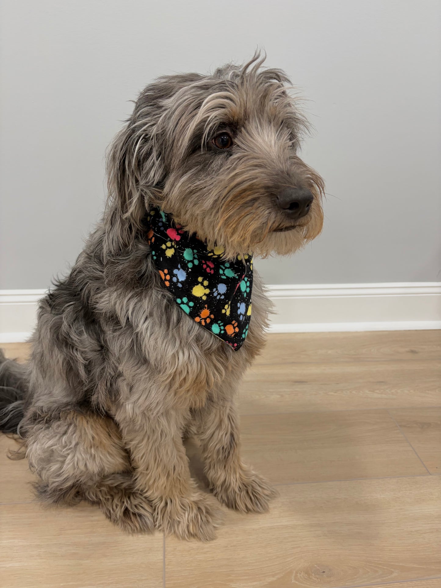 Reversible Pet Bandana