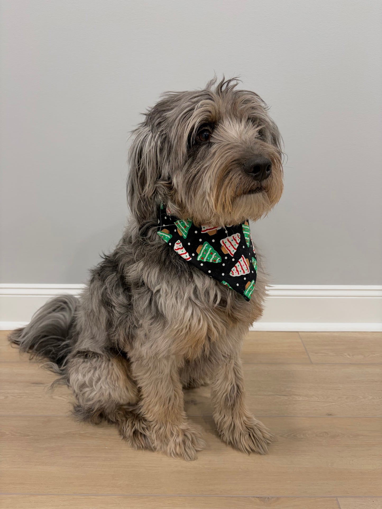 Reversible Pet Bandana