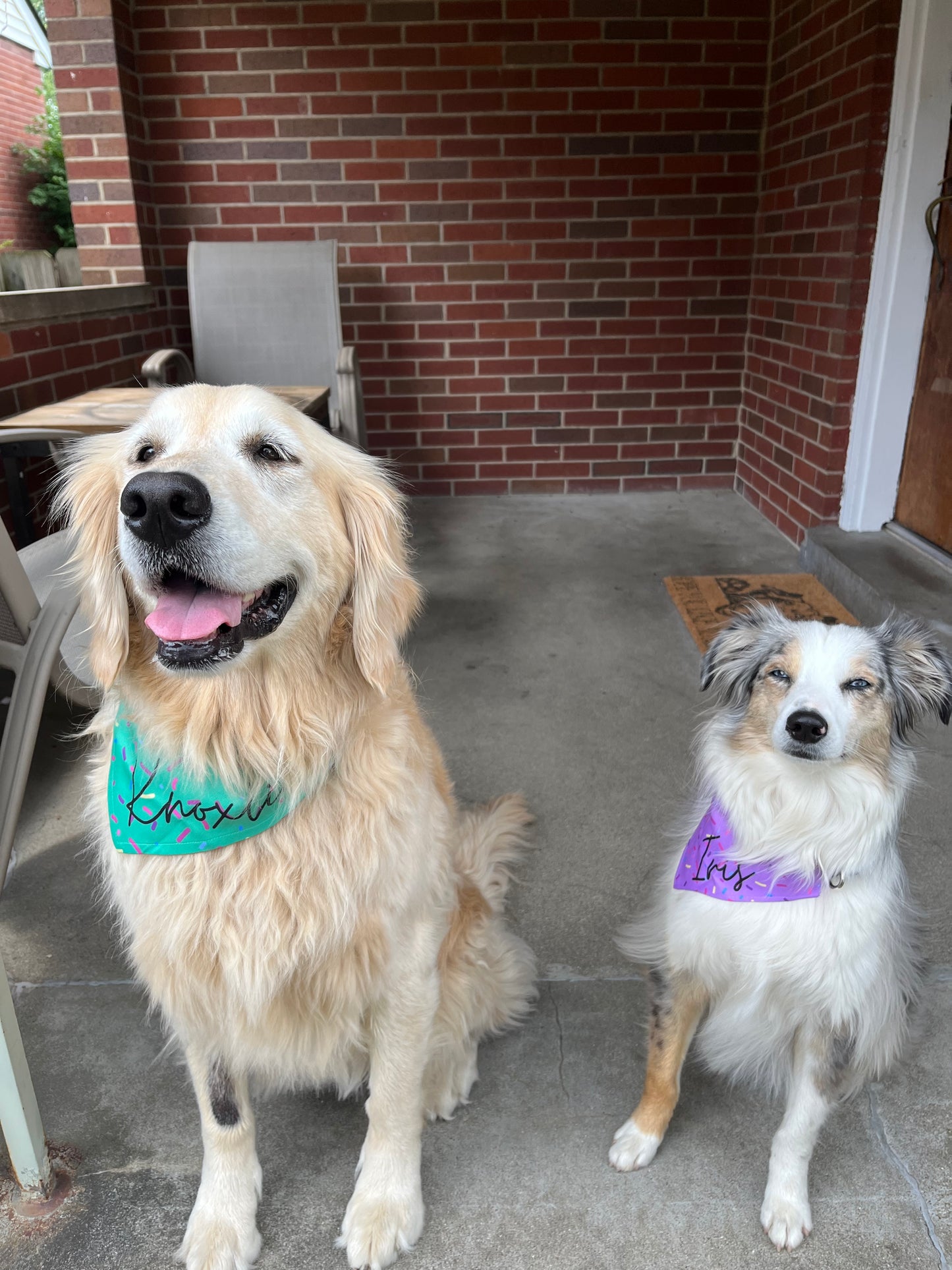 Birthday Sprinkles Bandana